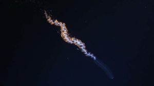 Underthesea