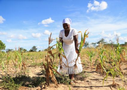Villagers collecting food aid in rural Zimbabwe