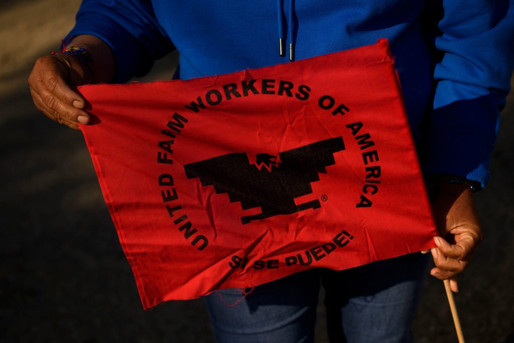 Farmworker Patricia Gutierrez, a United Farm Workers (UFW) member, stands for a portrait with a UFW flag outside after not...
