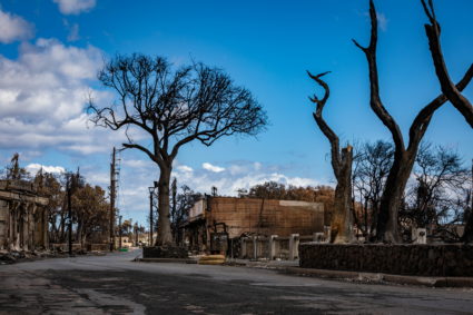 Trees charred by the Maui wildfires stand near the shell of a building in Lahaina