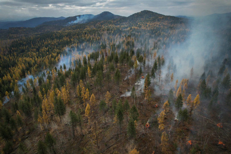 The Wider Image: Washington state pioneers program to turn inmates into wildland firefighters