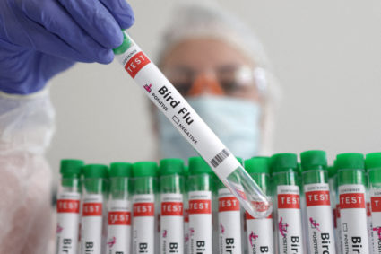 bird flu test vial 2024-06-07T173208Z_656804082_RC2G68AIMT56_RTRMADP_3_HEALTH-BIRDFLU-TRANSMISSION