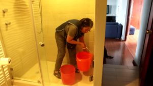 domestic