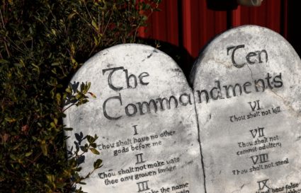 Democratic presidential primary election in South Carolina