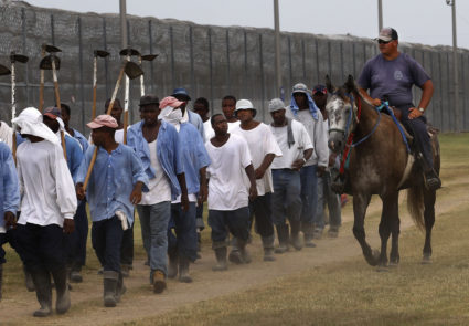Inmates at Louisiana's Angola prison sue to end working farm lines in brutal heat