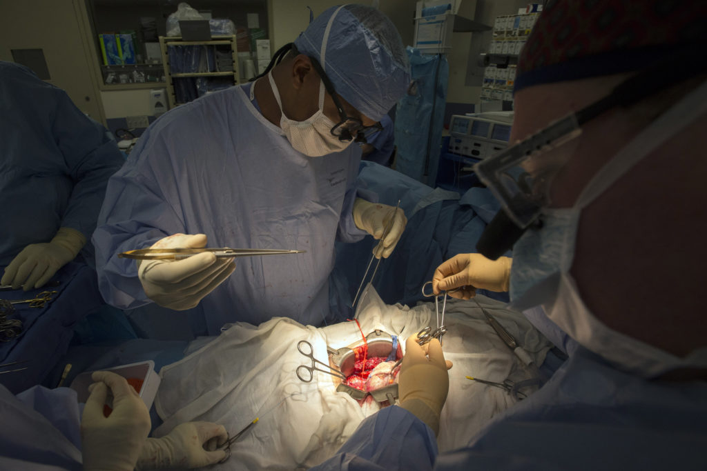 Surgeon Guarrera implants donated harvested kidney to transplant into patient Abernathy as part of five-way organ transpla...