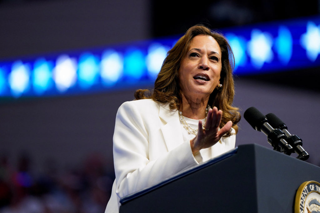 WATCH: Harris delivers remarks at campaign rally in Savannah on final ...