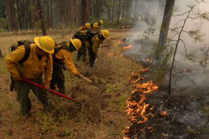 Contract wildland firefighters from AFS Forestry dig a hand line during the Battle Mountain Complex Fire in Grant County, ...