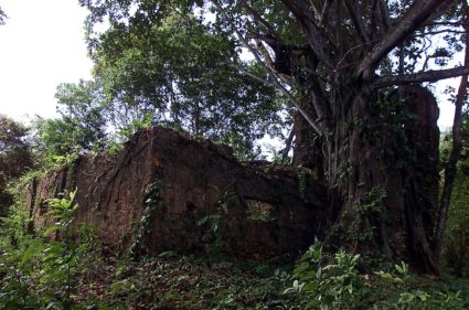 View of the ruins of a Spanish fortress on the island of El Encanto (Enchantment), in Panama's Darie..