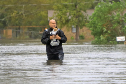 Resident cradles his dog in a carrier as he surveys the flooding damage after Hurricane Milton passed in South Daytona