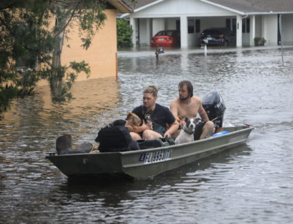 Residents and their pets evacuate Magnolia Avenue after Hurricane Milton flooded the neighbourhood in South Daytona