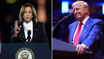 Closing arguments by Trump and Harris underscore stark election choice