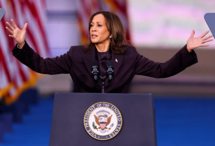 WATCH: Harris urges supporters to fight for the 'light of America's promise' in concession speech