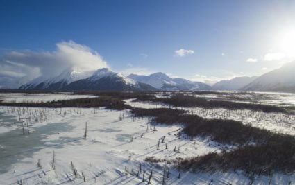 WATCH: Alaskan pilot airdrops Thanksgiving turkeys to off-grid residents