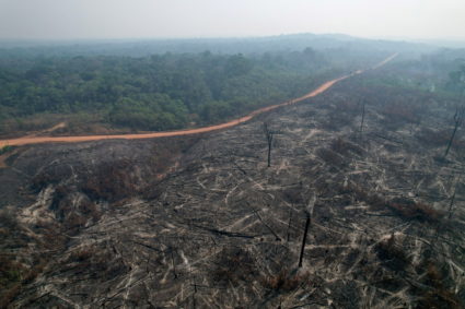 Fire rising in Amazon rainforest in Apui, Amazonas state