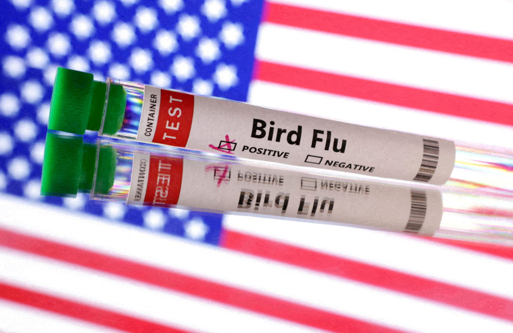 FILE PHOTO: Illustration shows test tube labelled "Bird Flu" and U.S. flag