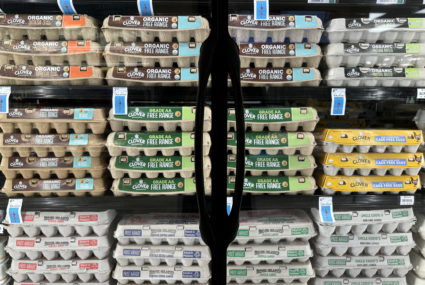 Egg Prices Spike Over 28% In Last Year