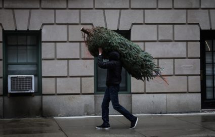 Man carries Christmas tree in New York City