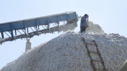 How cotton from Central Asia is helping fuel Russia's war in Ukraine