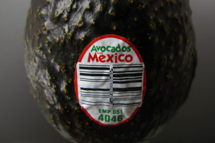 An imported avocado from Mexico is shown photo illustration