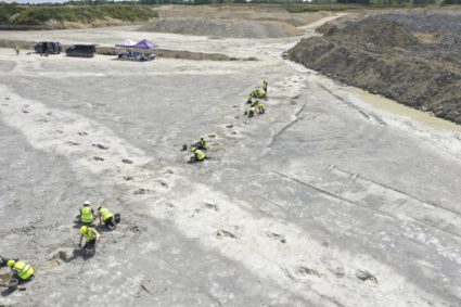 'Dinosaur highway' dating back 166 million years discovered in England