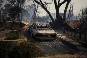 Wildfires in Los Angeles