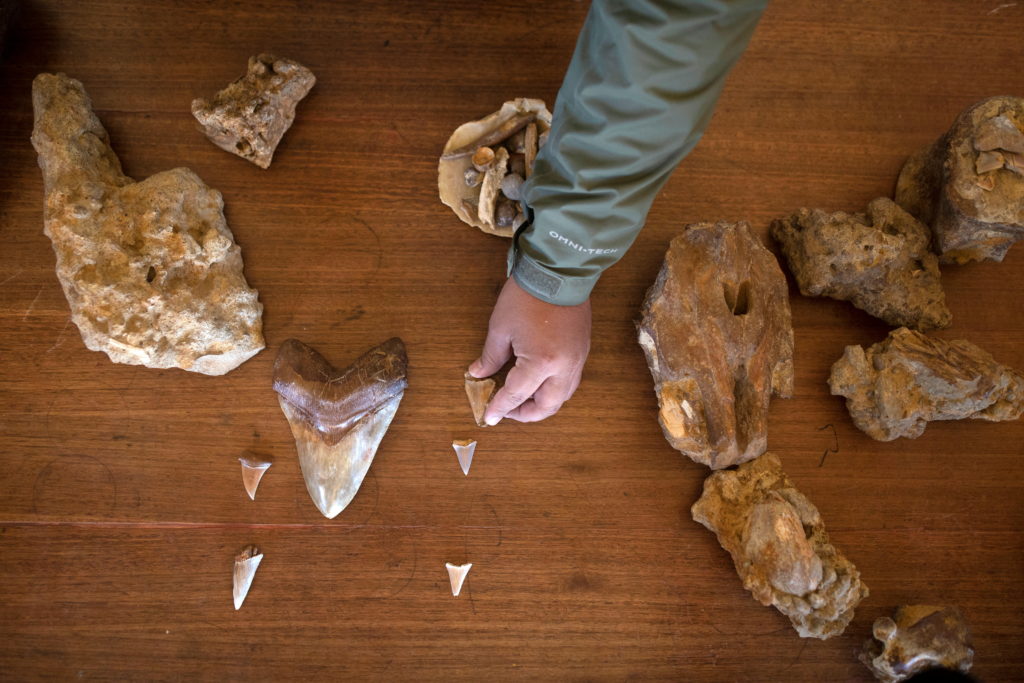 Los Dedos Paleontological Park near Caldera area, Copiapo