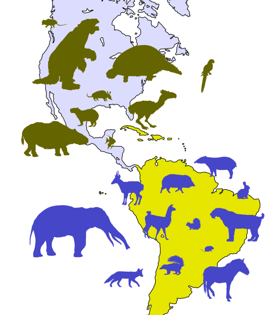 Great_American_Biotic_Interchange_examples (1)