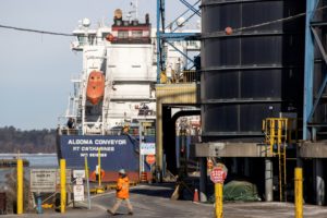 FILE PHOTO: The self-discharging bulk carrier Algoma Conveyor is docked at the Hamilton port