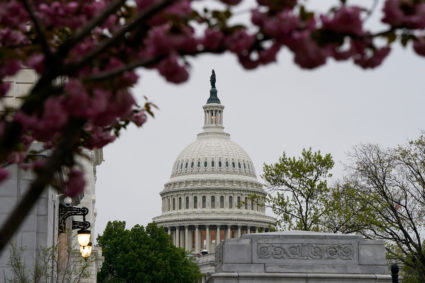 The U.S. Capitol in Washington