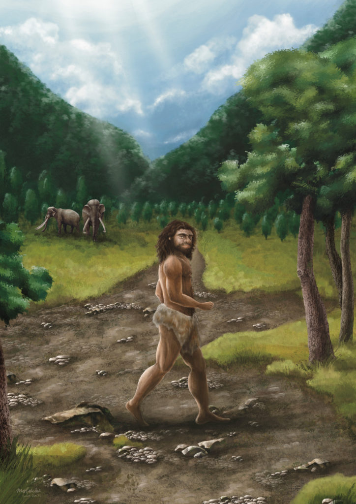 Life reconstruction of a robust male Denisovan, an extinct archaic human