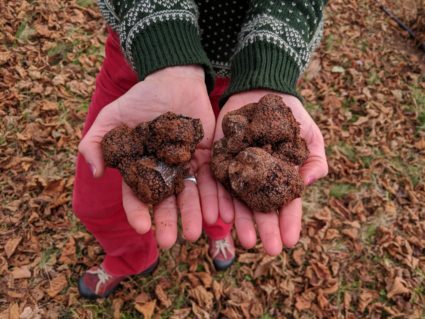 Inga holding black perigord from orchard