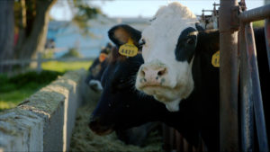 Methane