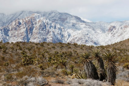 Record snow falls in and around western United States