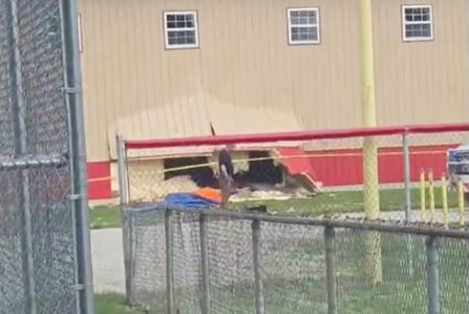 Driver who hit after-school camp in Illinois may have had health emergency, police say