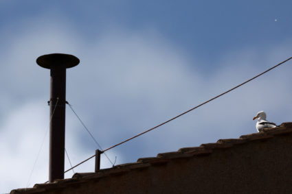 Conclave to elect the new pope, at the Vatican