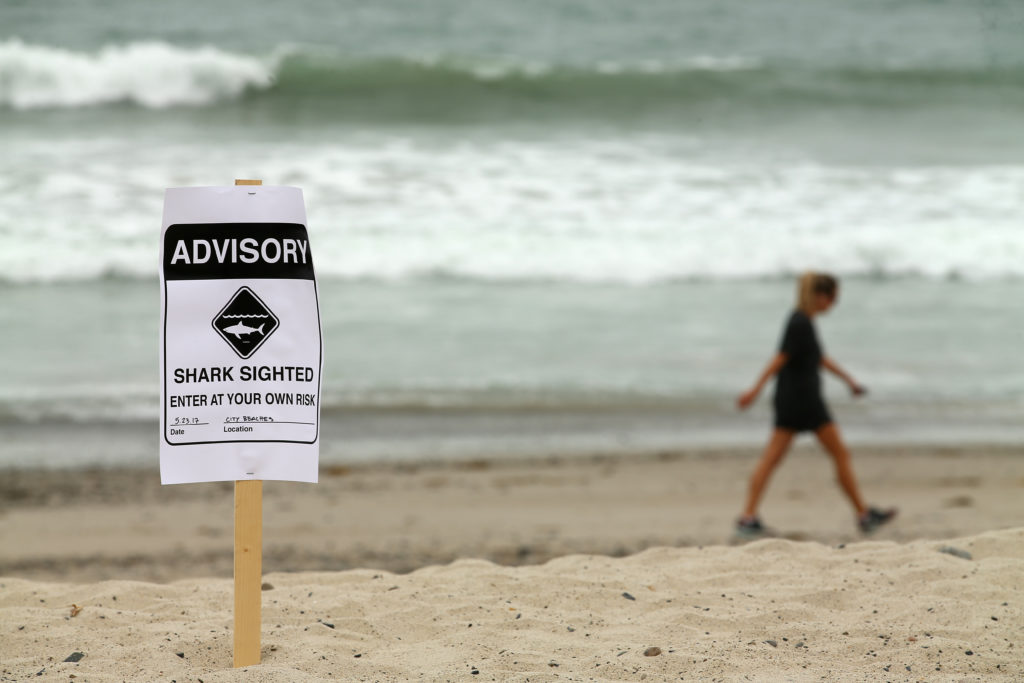 Shark sighting signs warning swimmers and surfers are posted along the beach in San Clemente, California