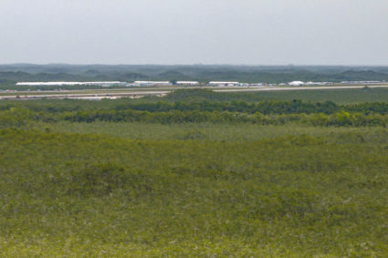 People protest against the development of "Alligator Alcatraz" in Everglades
