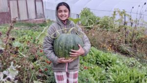 FamilyFarm
