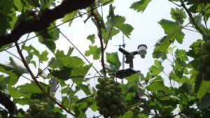 farmingtech
