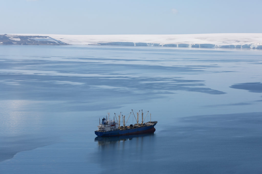 The Wider Image: Journey to Antarctica: seals, penguins and glacial beauty