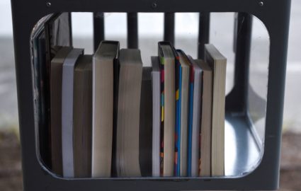 A Little Free Library contains banned books in Houston