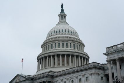 FILE PHOTO: The U.S. Capitol building in Washington