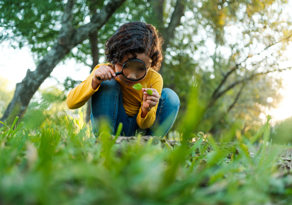 A little girl observing nature through a magnifying glass