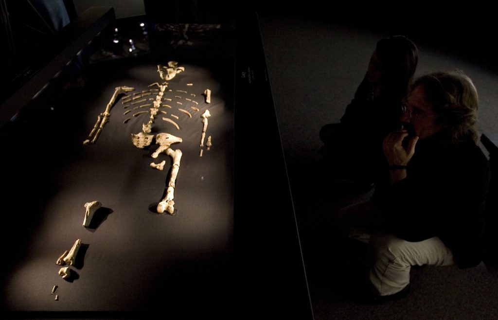 "Lucy" Exhibit To Open In Houston Amid Protests
