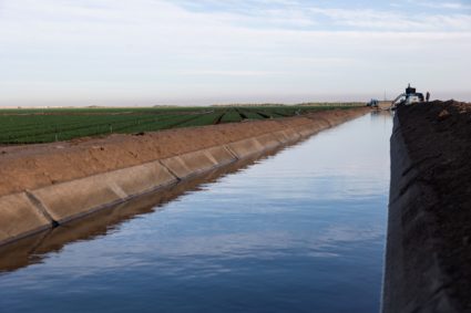 Agriculture is seen in the Imperial Valley, the single largest recipient of Colorado River water