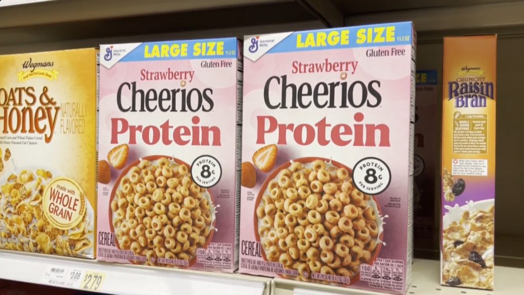 proteinobession