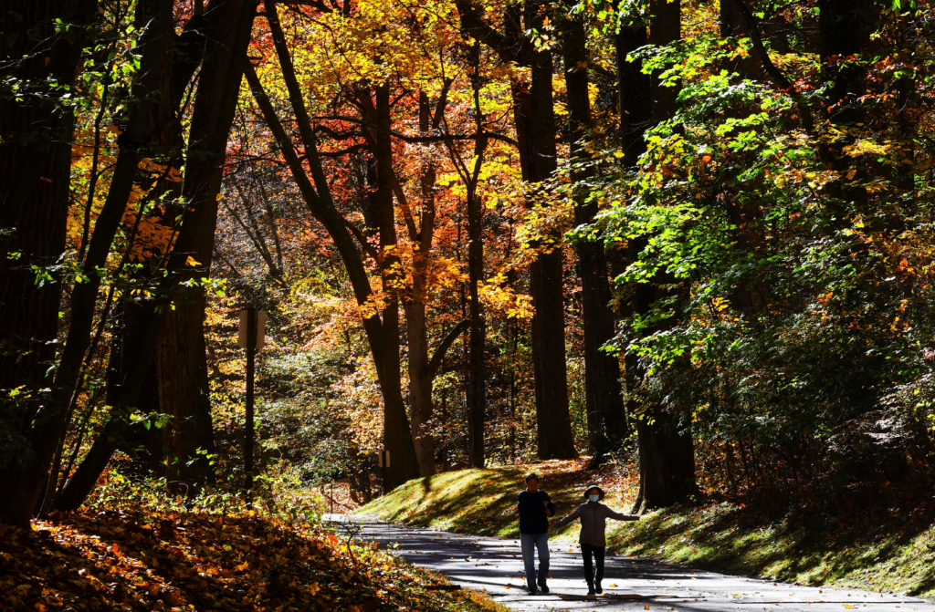 Couple walks through Tallman Mountain State Park beneath changing fall foliage colors in Sparkill, New York