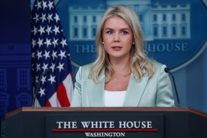 WATCH: White House dodges questions about whether documents from Epstein estate are 'hoax'