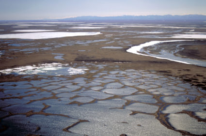 Coastal plain of the 1002 Area is seen within the Arctic National Wildlife Refuge